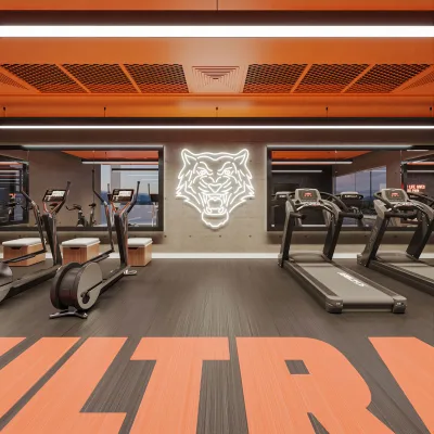 Gimnasio Home Tiger